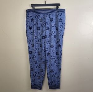 Harry Potter Wizarding World Soft Lounge Pajama Pants Size XL
